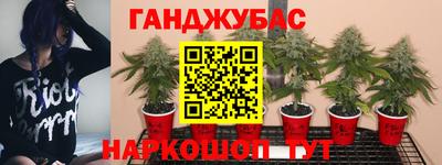 гашиш Дубна