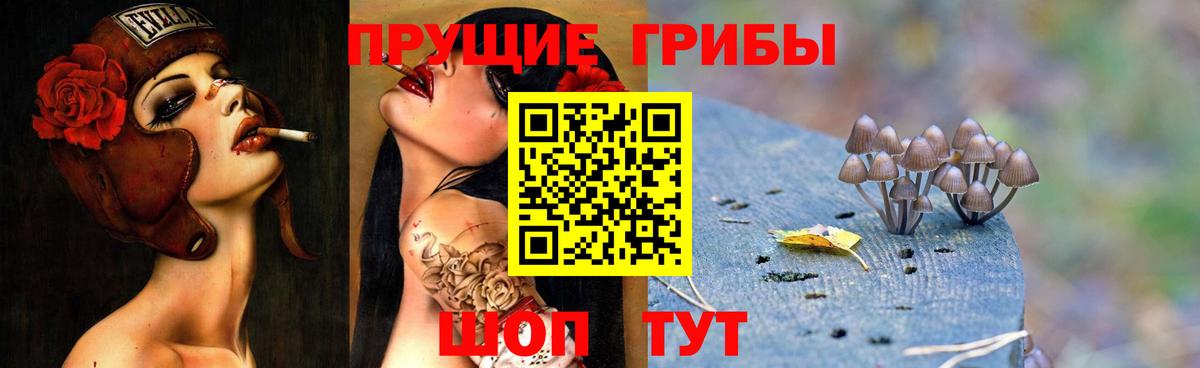 Курчатов  Галлюциногенные грибы MAGIC MUSHROOMS  Псилоцибиновые грибы Psilocybine cubensis  Вход с VPN 