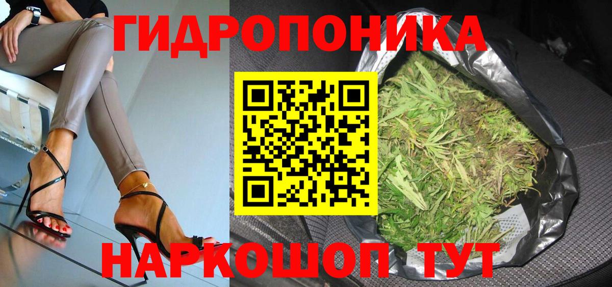 МАРИХУАНА сатива Курчатов